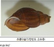 상주 북천에 담수생물 570종 서식