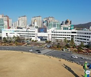 창원시, 제61회 진해군항제 기간 주말 탄력적 교통 통제 실시