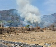 고흥서 산불 1시간 54분만에 진화…0.2㏊ 불에 타