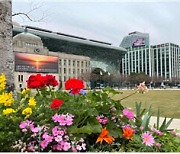 서울시, 160개 노선 ‘봄꽃거리’ 조성…"활짝 핀 꽃 보며 힐링"