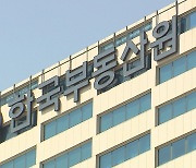 2월 대구·경북 전세 보증 사고 '급증'