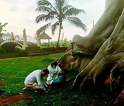 러-우크라 피란민에 몸살앓는 발리… 700년 된 나무서 나체 사진 촬영도