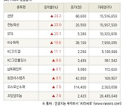 [fnRASSI]장마감, 거래소 상승 종목(금양 24.3% ↑)