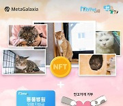 갤럭시아넥스트, '안고가개 NFT' 판매…배송지 입력 최초 적용