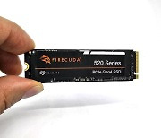 [리뷰] 내실 다진 PCIe 4.0 SSD, 씨게이트 뉴 파이어쿠다 520 M.2 NVMe