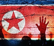 北 반동문화배격법 "남한 말투·창법도 처벌"…부모에게 책임 묻기도