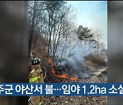 울주군 야산서 불…임야 1.2㏊ 소실