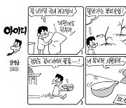 아이디