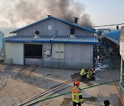 충남 당진 돈사에서 화재…돼지 530여 마리 폐사