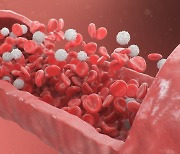 ‘조혈줄기세포’의 혈액세포 생산·유지 매커니즘 규명
