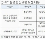 서울시, 유기동물 입양 반려인에 동물보험 가입비 무료 지원