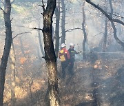 전남 영광군서 산불…20여분 만에 주불 진화