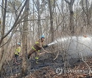 울산 울주군 야산서 불…1시간 30분 만에 불길 잡아