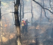 전남서 화재 잇달아…"실화 원인 제공자 처벌"(종합2보)