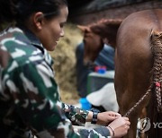 NEPAL PHOTO SET TRADITIONS HORSE FESTIVAL