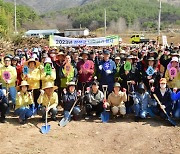 장성군, 군민과 함께 편백나무 3천 여 주 식재