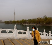 화사 뒤덮인 中 베이징