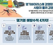 동남아 모기매개 감염병 주의…지카바이러스 등 국내서 41명 보고