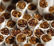 담배 유해물질 함량, 타르·니코틴 이외 성분도 2년마다 공개