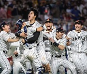 '만화 야구' 완성한 오타니... 14년 만의 일본 우승 이끌었다