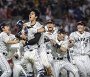 14년 전 헹가래 투수 다르빗슈, 이번엔 오타니…일본 야구는 '오타니 시대'