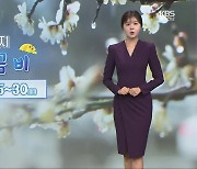[날씨] 광주·전남 내일 오전까지 봄비…오후부터 황사 유입