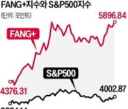 FANG+의 부활…S&P500 상승률의 7배
