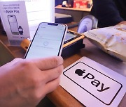 Apple Pay rolled out but smaller stores recoil at costs