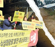 “태양광 난개발로 생활 터전 훼손”… 文정부 5년간 반대집회 3배 폭증