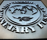 IMF, 우크라에 20조원 대출 승인···사상 첫 전쟁 국가 지원