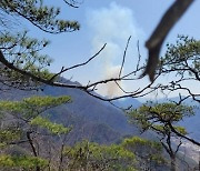 단양 적성면 월악산국립공원서 산불…1㏊ 타(종합)