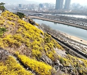 [날씨] 봄비 내리다 오후에 그쳐…수도권 미세먼지 '나쁨'