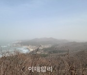 '중국發 황사' 한반도에 영향…백령도 중심으로 확대