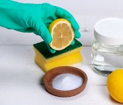 봄맞이 청소, 레몬을 활용한 팁 7가지
