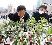서울시, 식목일 '나무 심기 행사' 참여 시민 모집