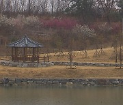대구·경북 밤까지 약한 비 계속…3월 24일 더 쌀쌀