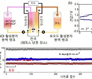 KAIST, 레독스 흐름전지용 새로운 대체 물질 개발...저용해도 문제 해결