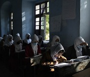 탈레반 여성교육 금지 1년…아프간엔 ‘비밀학교’가 생겨났다