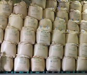 [속보] 양곡관리법 본회의 통과...'남는 쌀' 의무 매입, 매년 1조