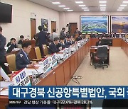 대구경북 신공항특별법안, 국회 국토위 통과