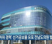 ‘허위 경력’ 선거공보물 유포 전남도의원 벌금형