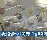 1월 부산 출생아 수 1,303명…‘1월 역대 최저’