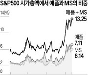 애플·MS 시대…S&P500 비중 13% 돌파