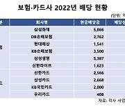 배당성향이 61%?…보험·카드사도 배당 잔치 '현금배당 2.8조'