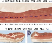 오늘은 저지방 삼겹살 먹을까?…'삼겹살 지방함량 표시제 추진'