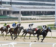 “시대에 맞게” 온라인 마권 발매 허용법 국회 상임위 통과