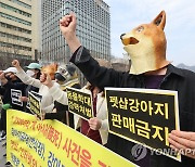 양평 개 아사 사건 처벌 촉구 기자회견