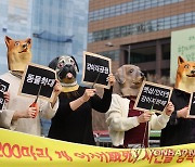 양평 개 아사 사건 처벌 촉구 기자회견