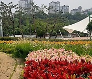 '김포시 공원·녹지, 더 넓고 더 푸르게'