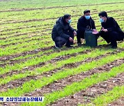'식량난' 북한의 딜레마…지력 훼손 막기 위한 '유기 농법' 장려